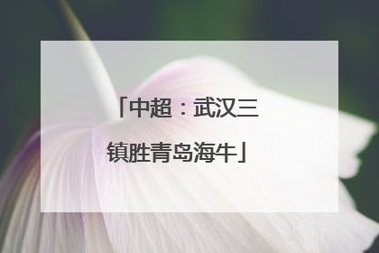 中超：武汉三镇胜青岛海牛