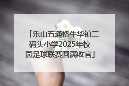 乐山五通桥牛华镇二码头小学2025年校园足球联赛圆满收官