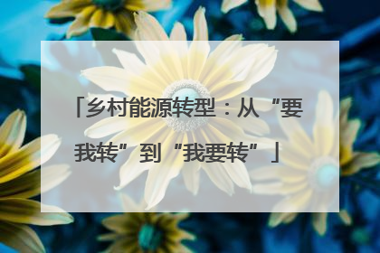 乡村能源转型：从“要我转”到“我要转”