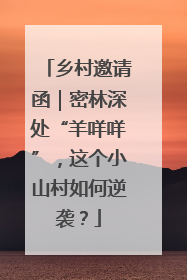 乡村邀请函｜密林深处“羊咩咩”，这个小山村如何逆袭？