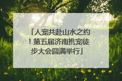 人宠共赴山水之约！第五届济南携宠徒步大会圆满举行