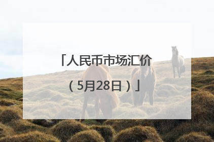 人民币市场汇价(5月28日)