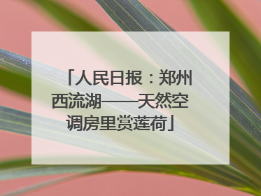 人民日报：郑州西流湖——天然空调房里赏莲荷