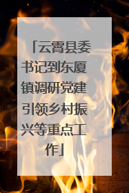 云霄县委书记到东厦镇调研党建引领乡村振兴等重点工作