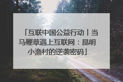 互联中国公益行动丨当马鞭草遇上互联网：昆明小渔村的逆袭密码