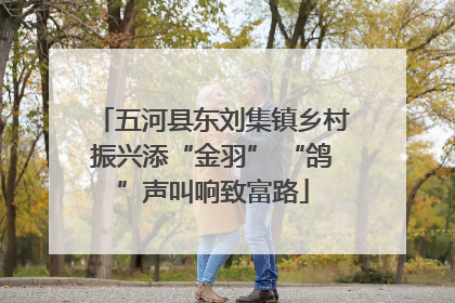 五河县东刘集镇乡村振兴添“金羽” “鸽”声叫响致富路
