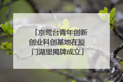 京鹭台青年创新创业科创基地在厦门湖里揭牌成立
