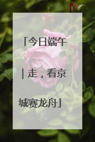 今日端午｜走，看京城赛龙舟