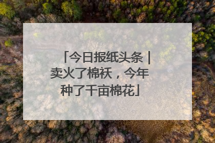 今日报纸头条｜卖火了棉袄，今年种了千亩棉花
