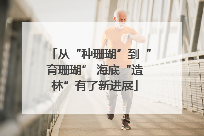 从“种珊瑚”到“育珊瑚” 海底“造林”有了新进展