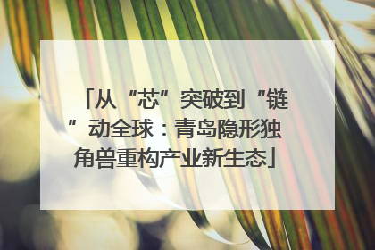从“芯”突破到“链”动全球：青岛隐形独角兽重构产业新生态