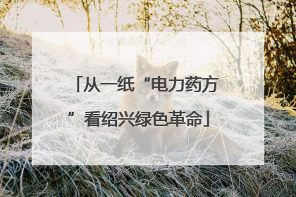 从一纸“电力药方”看绍兴绿色革命