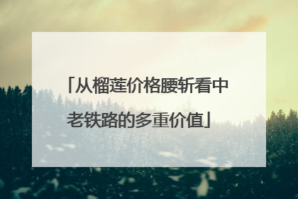 从榴莲价格腰斩看中老铁路的多重价值