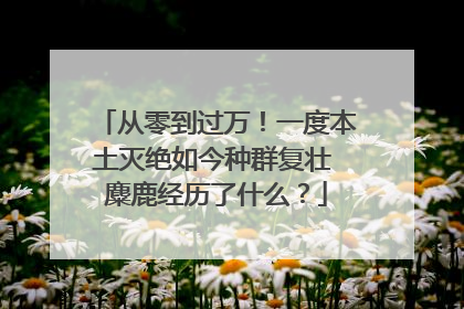 从零到过万！一度本土灭绝如今种群复壮 麋鹿经历了什么？