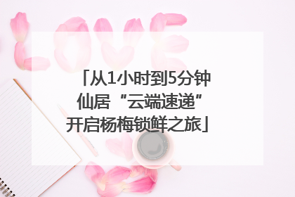 从1小时到5分钟 仙居“云端速递”开启杨梅锁鲜之旅