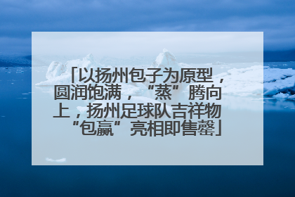 以扬州包子为原型，圆润饱满，“蒸”腾向上，扬州足球队吉祥物“包赢”亮相即售罄