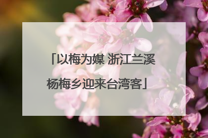以梅为媒 浙江兰溪杨梅乡迎来台湾客