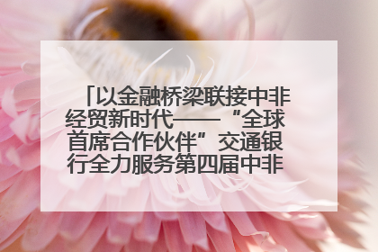 以金融桥梁联接中非经贸新时代——“全球首席合作伙伴”交通银行全力服务第四届中非经贸博览会