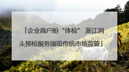 企业商户盼“体检” 浙江洞头预检服务颠覆传统市场监管