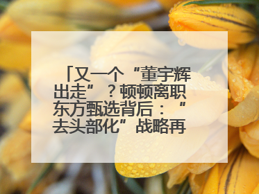 又一个“董宇辉出走”？顿顿离职东方甄选背后：“去头部化”战略再遭考验