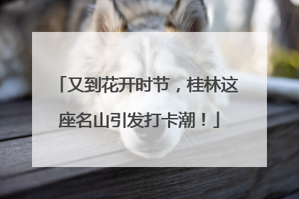 又到花开时节，桂林这座名山引发打卡潮！
