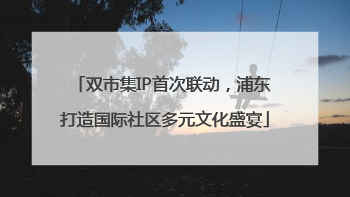 双市集IP首次联动，浦东打造国际社区多元文化盛宴