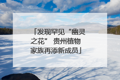 发现罕见“幽灵之花” 贵州植物家族再添新成员