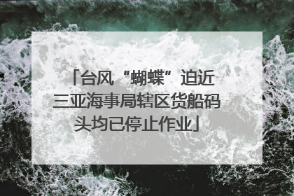 台风“蝴蝶”迫近 三亚海事局辖区货船码头均已停止作业