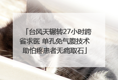 台风天辗转27小时跨省求医 单孔免气腹技术助怕疼患者无痛取石