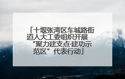 十堰张湾区车城路街道人大工委组织开展 “聚力建支点·建功示范区”代表行动