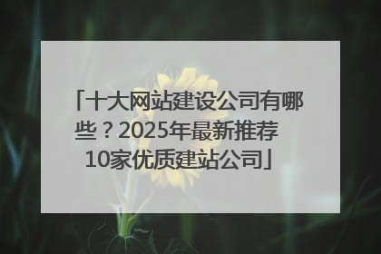 十大网站建设公司有哪些？2025年最新推荐10家优质建站公司