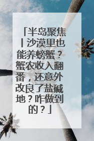 半岛聚焦丨沙漠里也能养螃蟹？蟹农收入翻番，还意外改良了盐碱地？咋做到的？