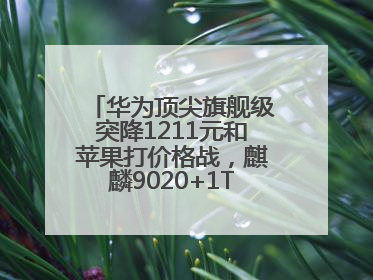 华为顶尖旗舰级突降1211元和苹果打价格战，麒麟9020+1TB+卫星通信！