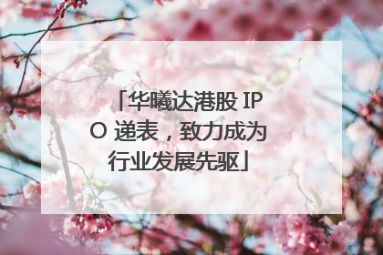 华曦达港股 IPO 递表，致力成为行业发展先驱