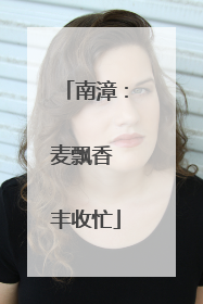 南漳：麦飘香 丰收忙