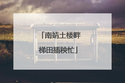 南靖土楼畔 梯田插秧忙