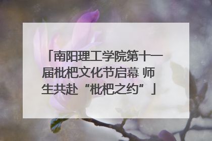 南阳理工学院第十一届枇杷文化节启幕 师生共赴“枇杷之约”