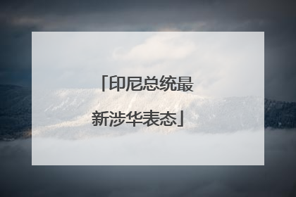 印尼总统最新涉华表态