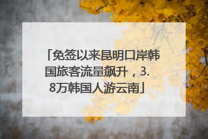 免签以来昆明口岸韩国旅客流量飙升，3.8万韩国人游云南