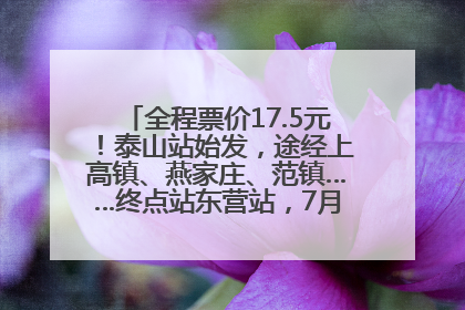全程票价17.5元！泰山站始发，途经上高镇、燕家庄、范镇……终点站东营站，7月1日开通！