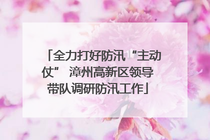全力打好防汛“主动仗” 漳州高新区领导带队调研防汛工作