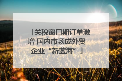 关税窗口期订单激增 国内市场成外贸企业“新蓝海”