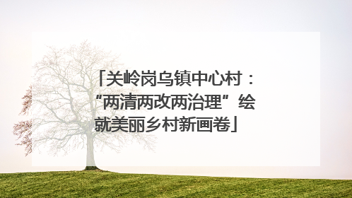 关岭岗乌镇中心村：“两清两改两治理”绘就美丽乡村新画卷