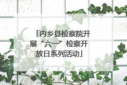 内乡县检察院开展“六一”检察开放日系列活动