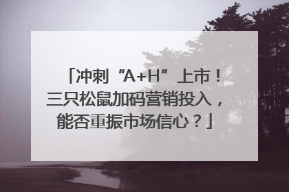 冲刺“A+H”上市！三只松鼠加码营销投入，能否重振市场信心？