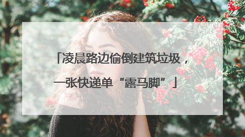 凌晨路边偷倒建筑垃圾，一张快递单“露马脚”