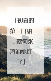 初夏的第一口甜，蔡甸张湾油桃红了