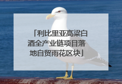 利比里亚高粱白酒全产业链项目落地自贸雨花区块