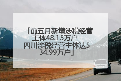 前五月新增涉税经营主体48.15万户 四川涉税经营主体达534.99万户