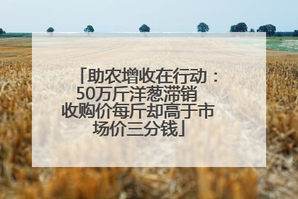 助农增收在行动：50万斤洋葱滞销 收购价每斤却高于市场价三分钱